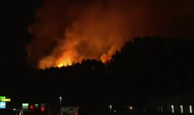 Un incendie de forêt à Iwate, au Japon, brûle 1 176 hectares